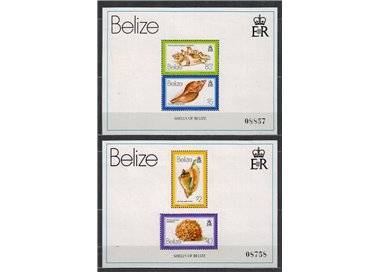 BELIZE 1980 Fauna marina, conchiglie 2 BF MNH**
