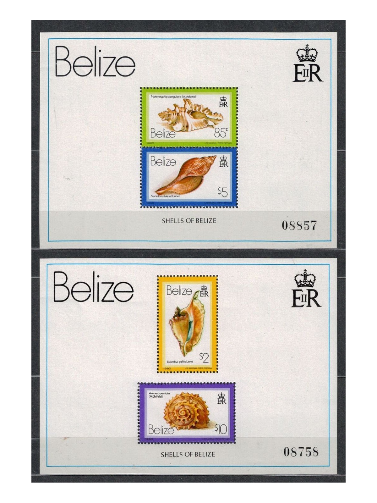BELIZE 1980 Marine fauna, shells 2 s/s MNH**