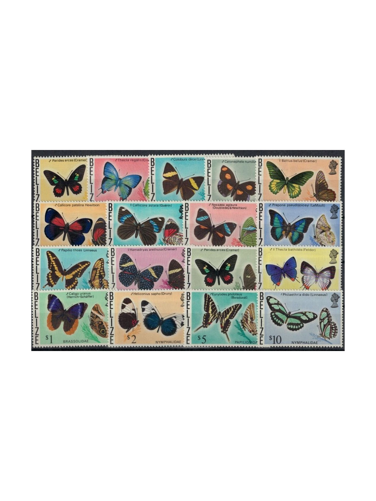 BELIZE 1974-75 Fauna, butterflies 17v MNH**