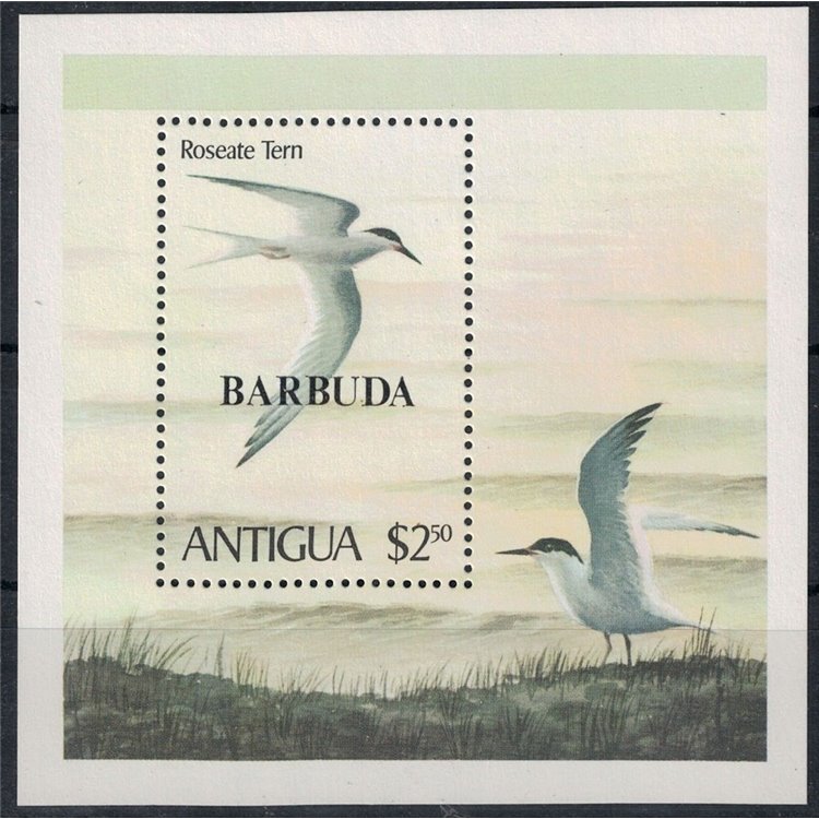 BARBUDA 1980 Fauna, birds s/s MNH**