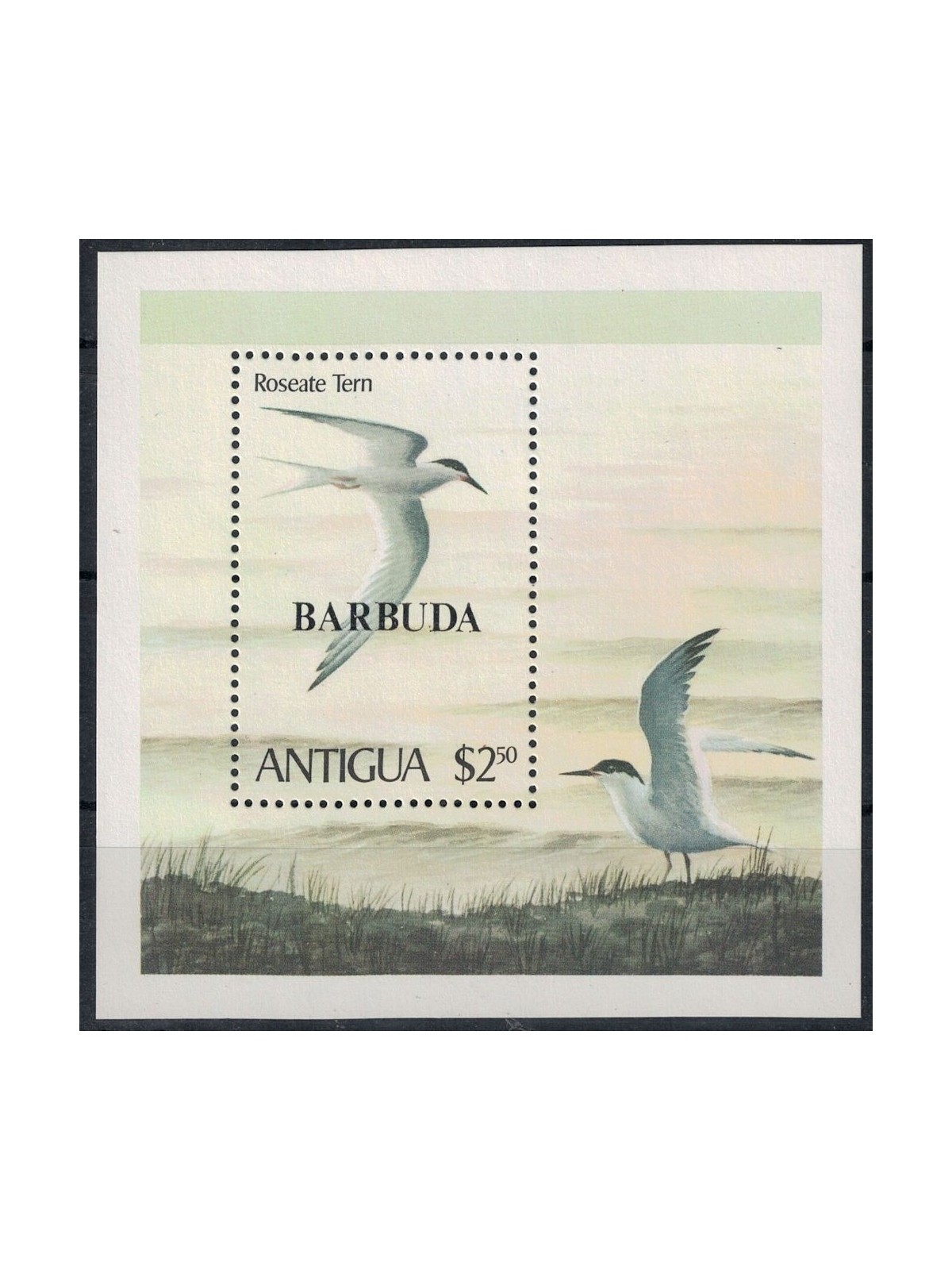 BARBUDA 1980 Fauna, birds s/s MNH**