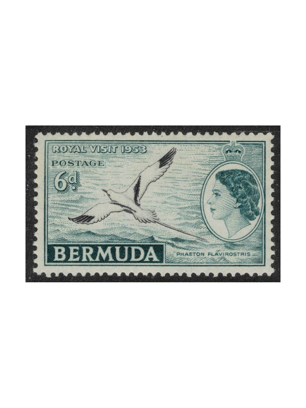 BERMUDA 1953 Visita Reale MNH**