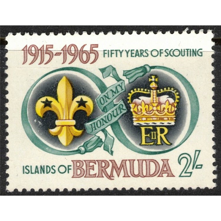 BERMUDA 1965 Scautismo locale MNH**
