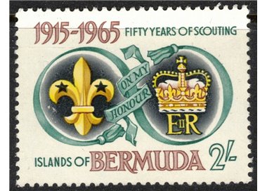 BERMUDA 1965 Scautismo locale MNH**