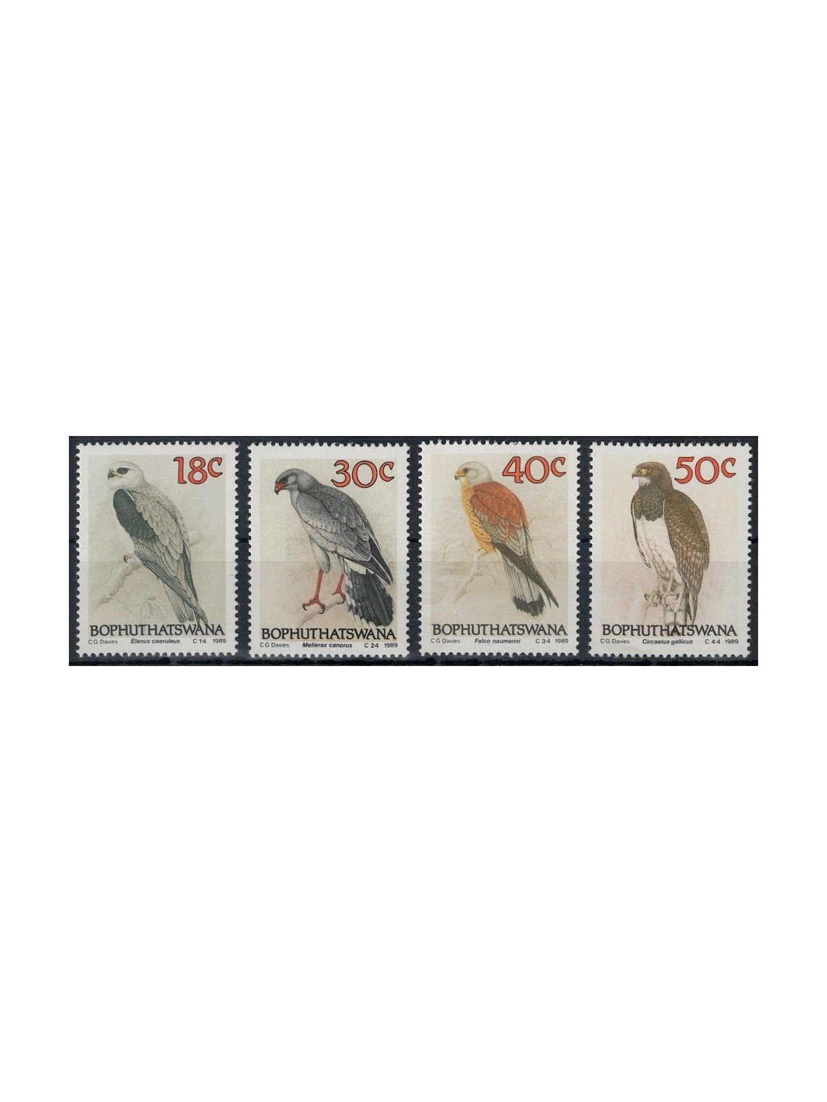 BOPHUTHATSWANA 1989 Birds of Prey 4v MNH**