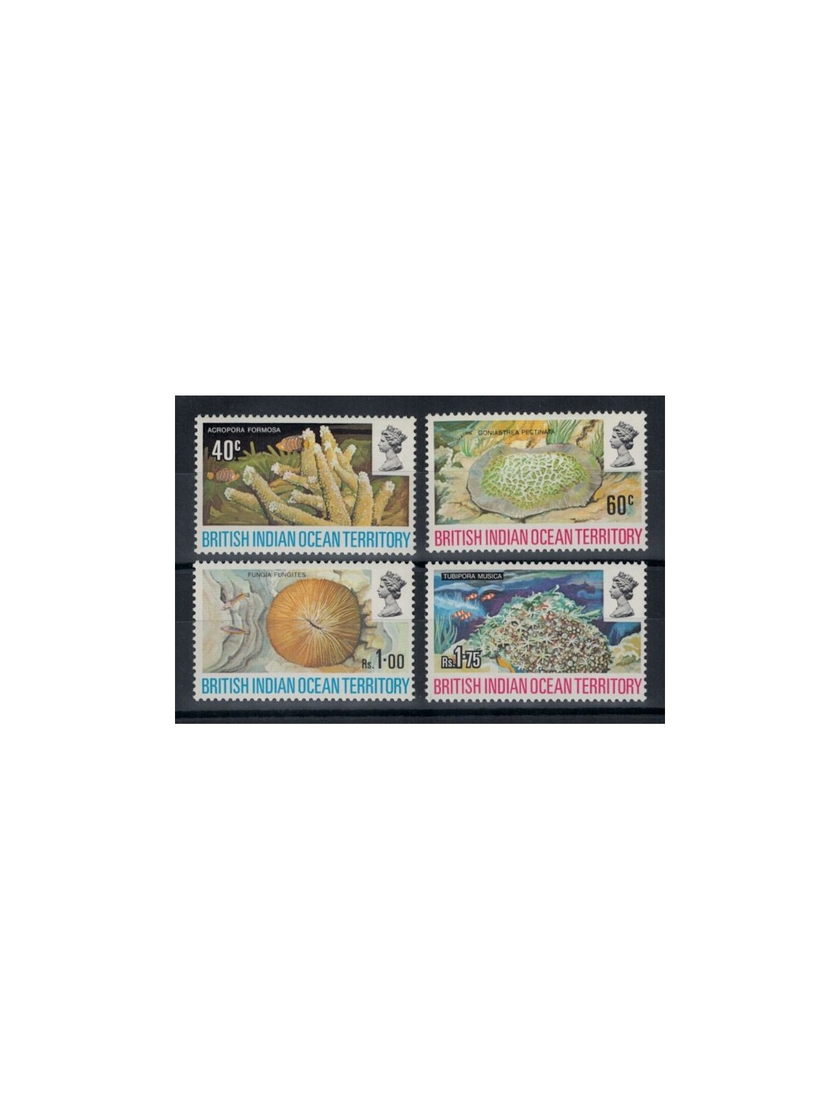 BRITISH INDIAN OCEAN TERRITORY 1972 Coral Reef Fauna 4v MNH**