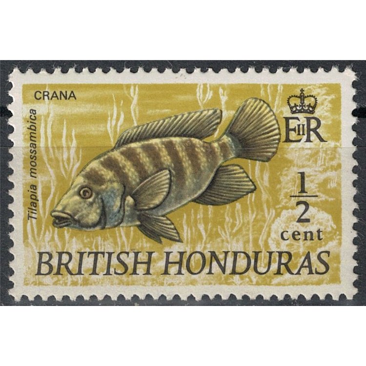 BRITISH HONDURAS 1971 Marine fauna, fish MNH**