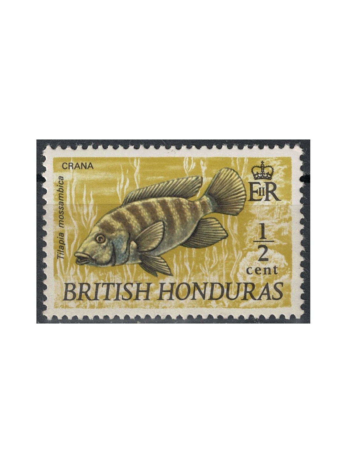 BRITISH HONDURAS 1971 Marine fauna, fish MNH**