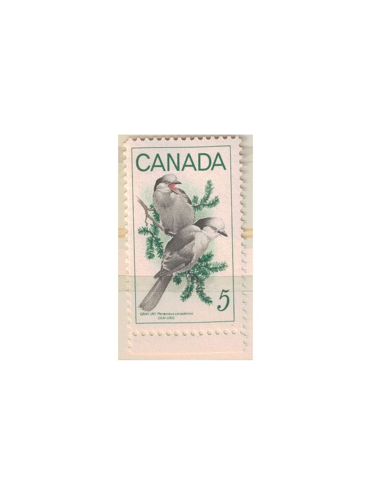 CANADA 1968 Conservation of Nature (Perisoreus canadensis) MNH**