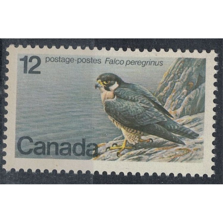 CANADA 1977 Specie in via di estinzione, falco MNH**