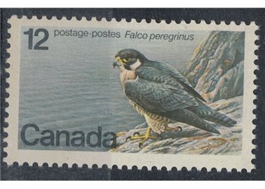 CANADA 1977 Endangered Species, Falcon MNH**