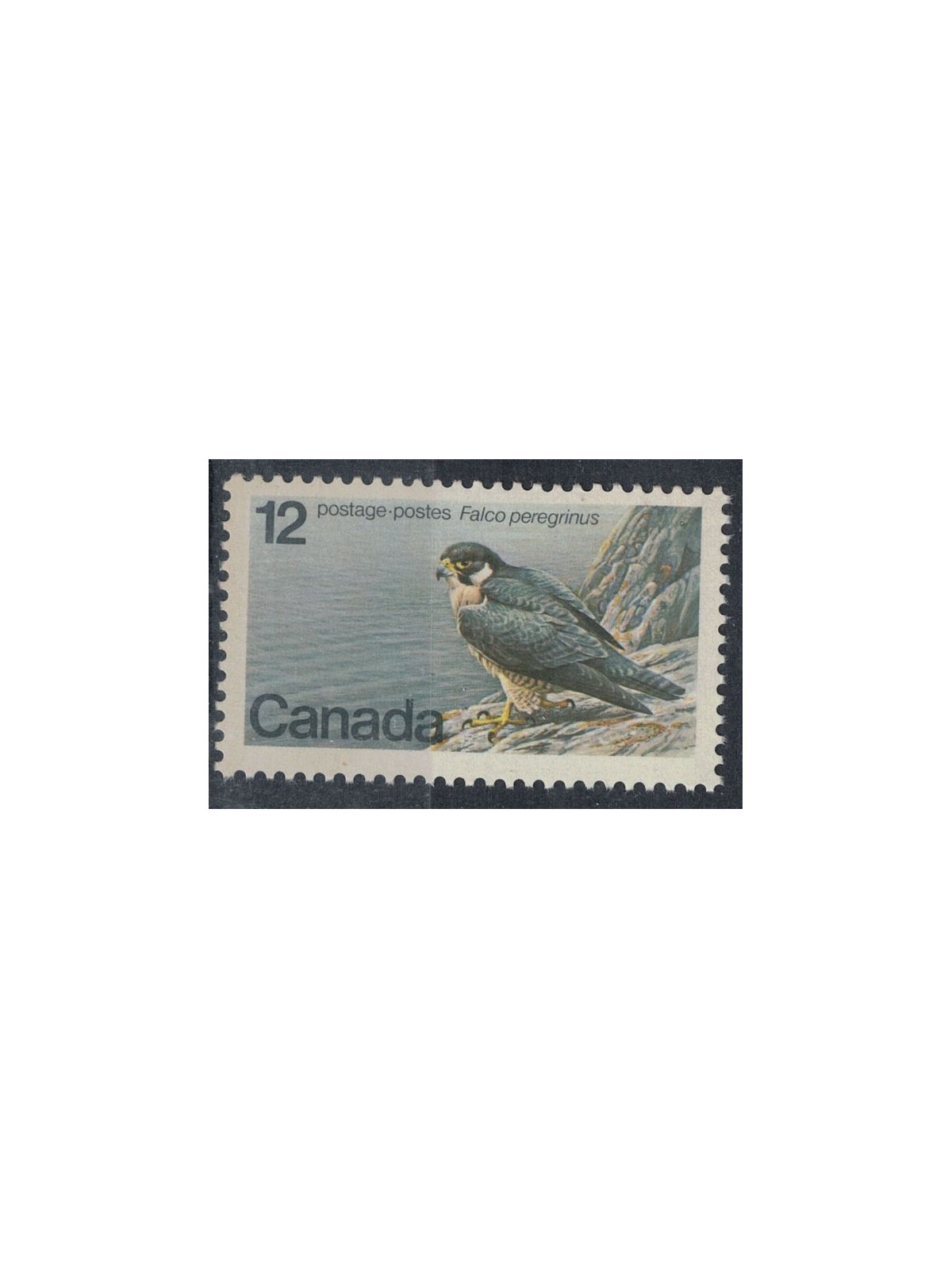 CANADA 1977 Specie in via di estinzione, falco MNH**
