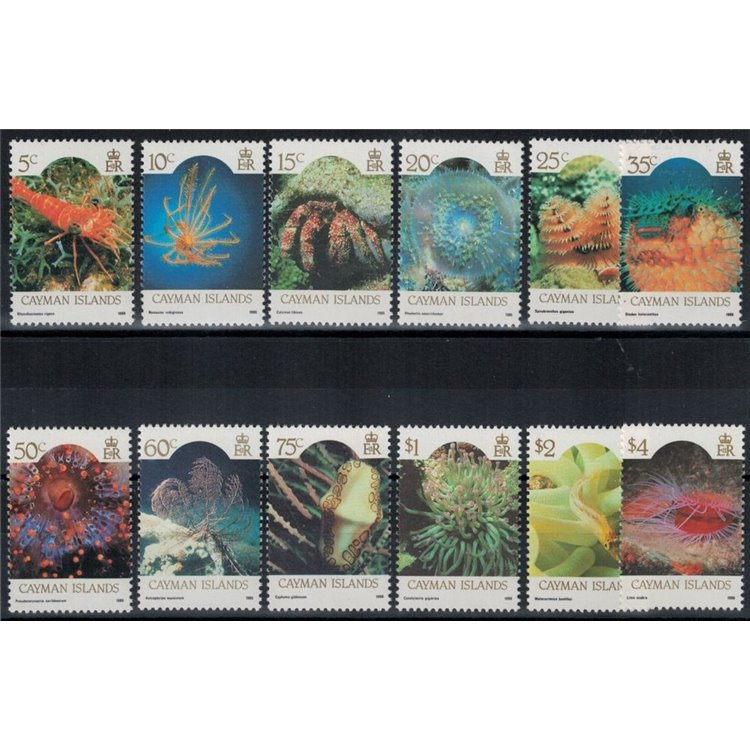 CAYMAN 1986 Marine life 12v MNH**