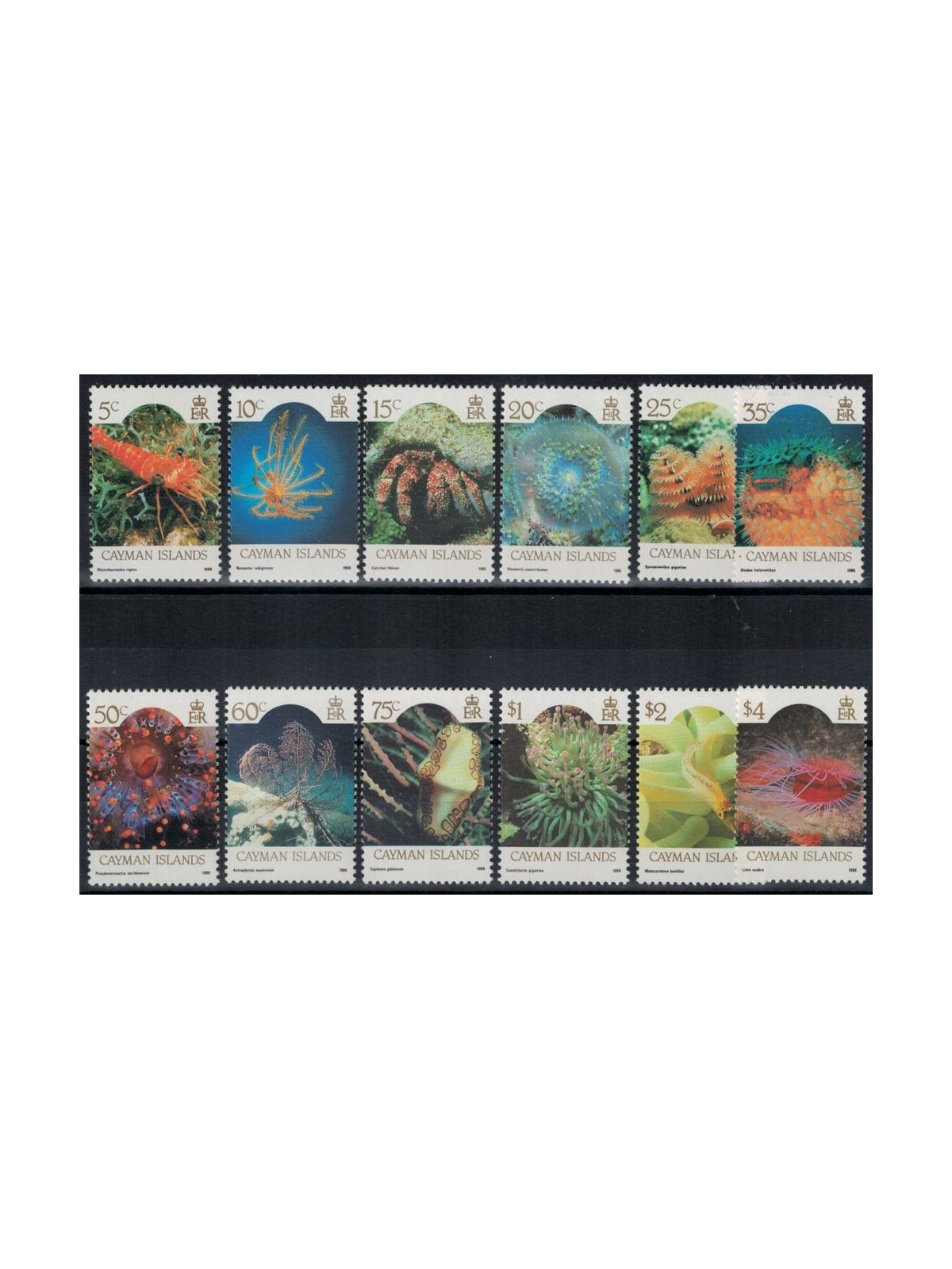 CAYMAN 1986 Marine life 12v MNH**