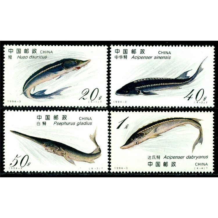 CINA 1994 Fauna, pesci 4v MNH**