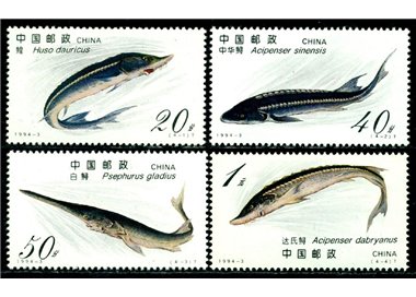 CHINA 1994 Fauna, fish 4v MNH**