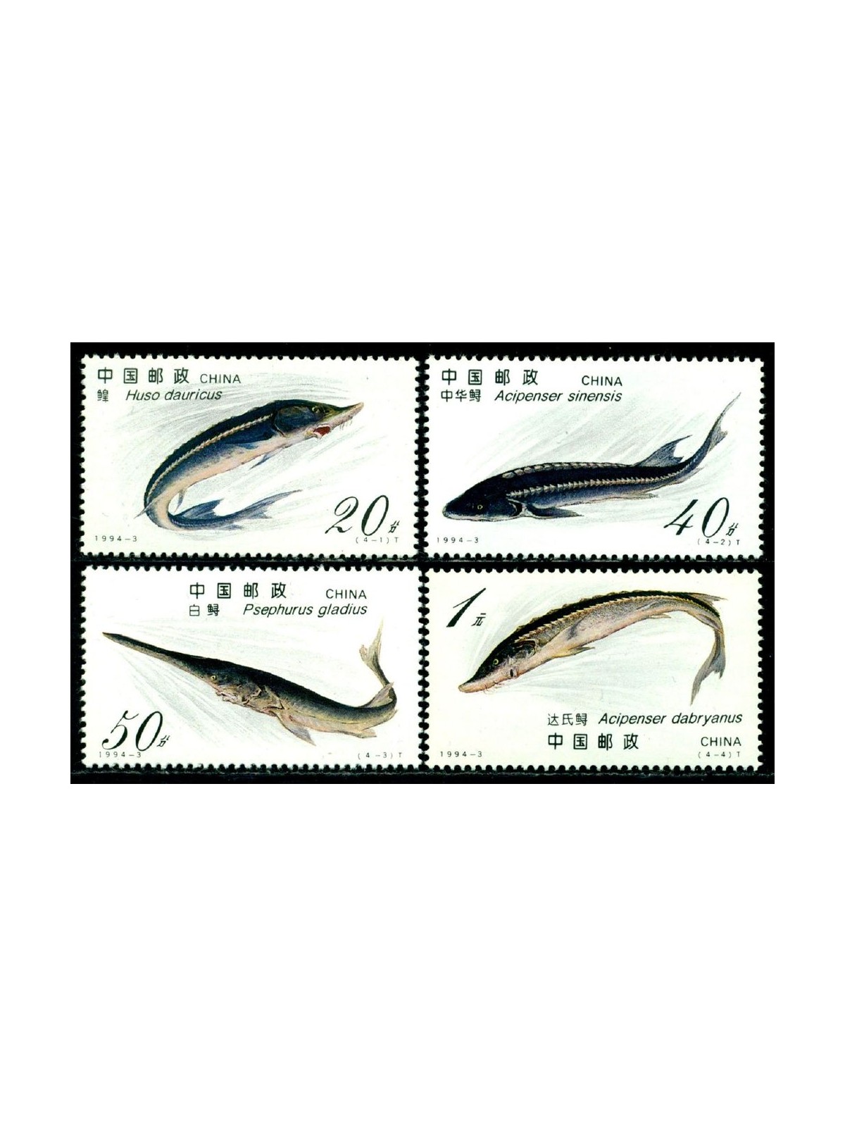 CHINA 1994 Fauna, fish 4v MNH**