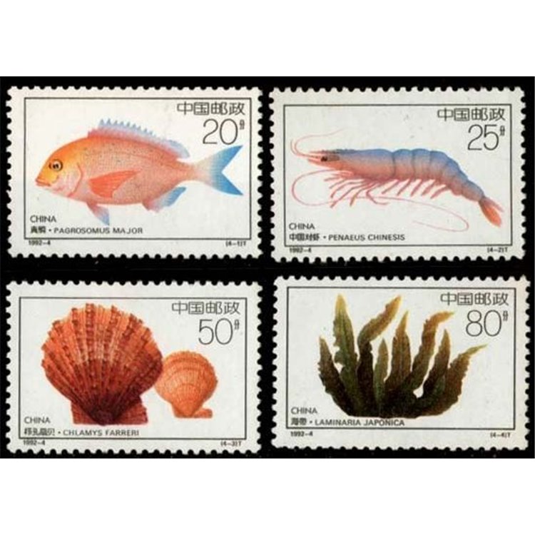 CINA 1992 Fauna e flora marina 4v MNH**