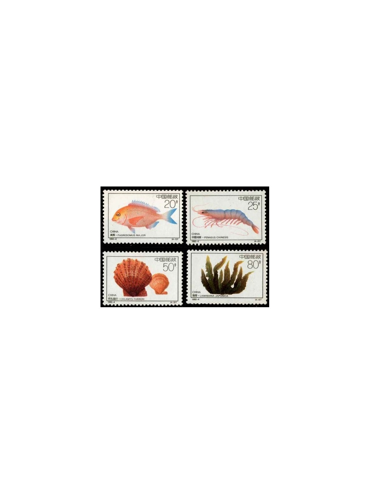 CINA 1992 Fauna e flora marina 4v MNH**