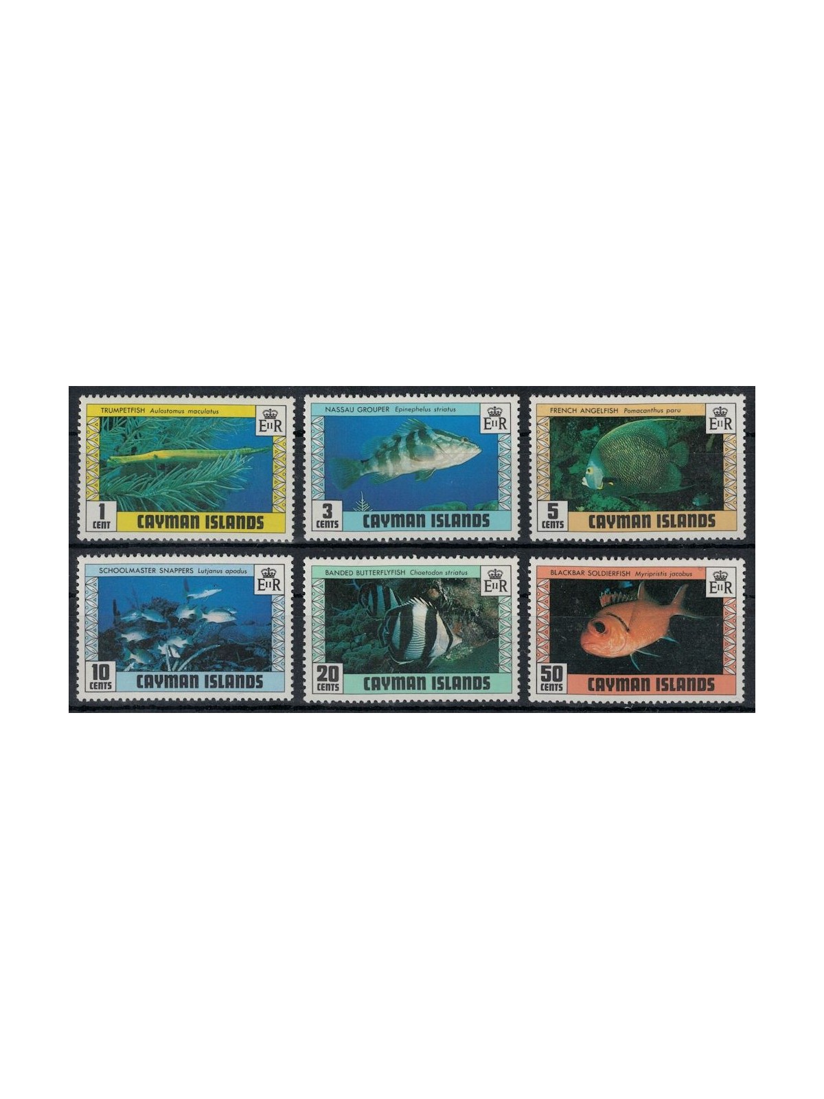 CAYMAN 1979 Marine fauna, fish (II) 6v MNH**