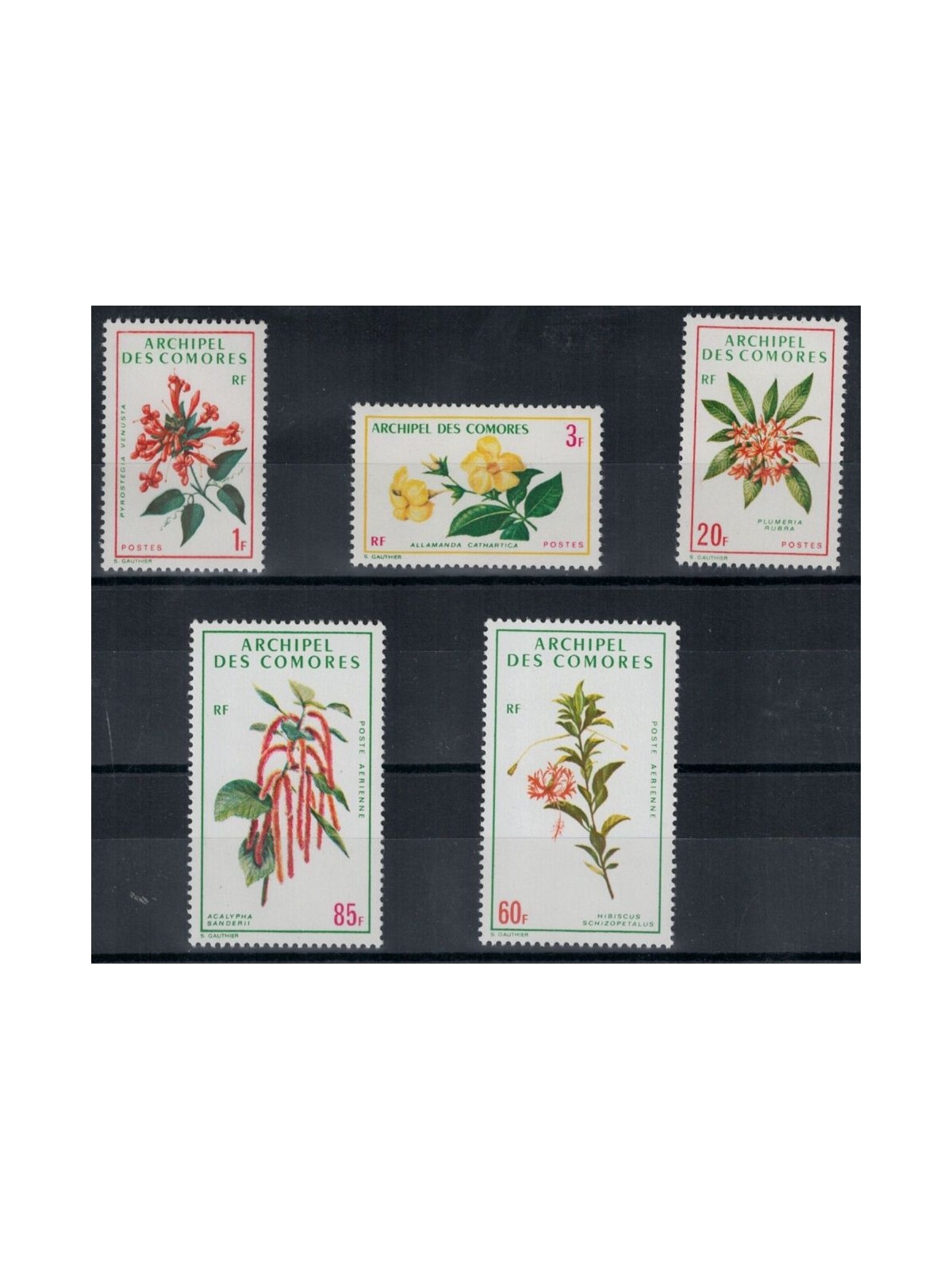 COMOROS 1971 Flora, Flowers 5v MNH**