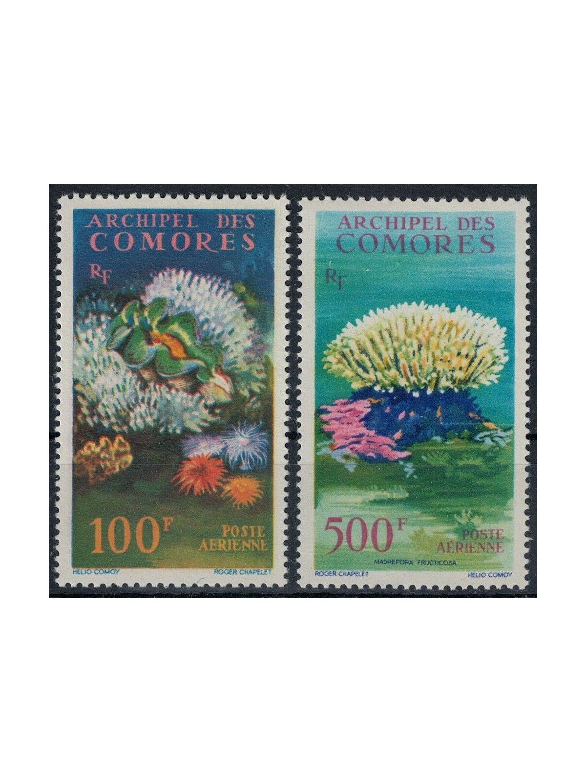 COMOROS 1962 Marine fauna and flora 2v MNH**