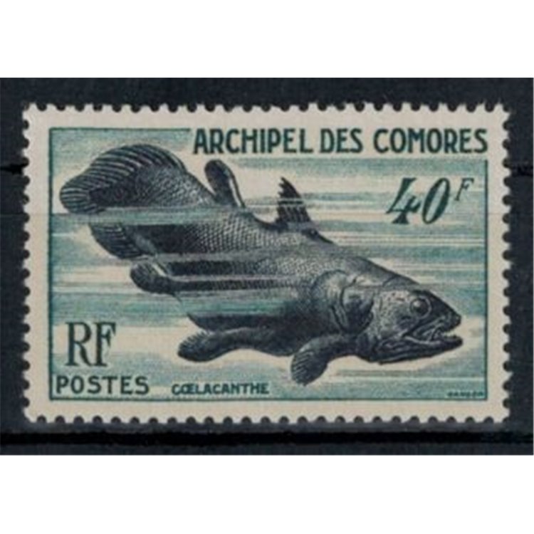 COMORE 1954 Fauna marina MNH**