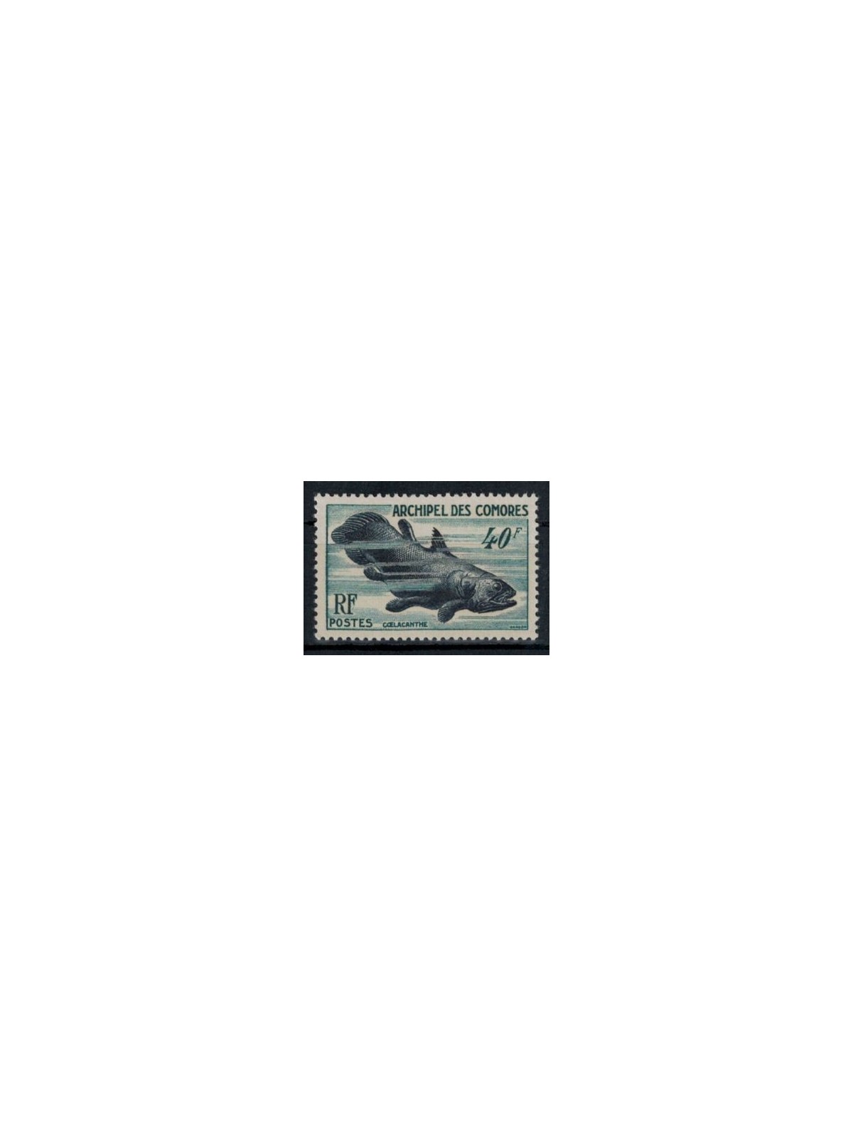 COMOROS 1954 Marine fauna MNH**