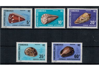 COMOROS 1971 Shells 5v MNH**