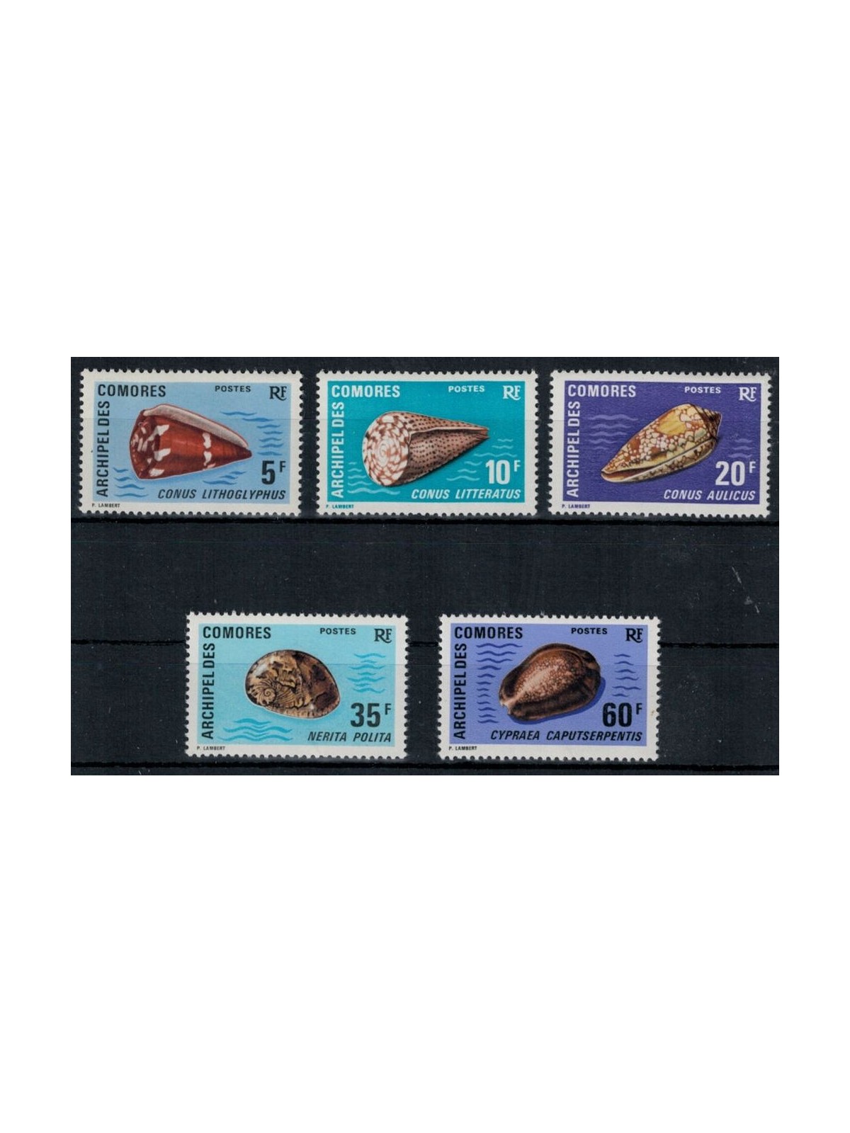 COMORE 1971 Conchiglie 5v MNH**