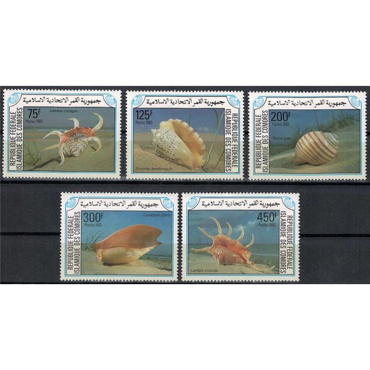 COMOROS 1985 Shells 5v MNH**