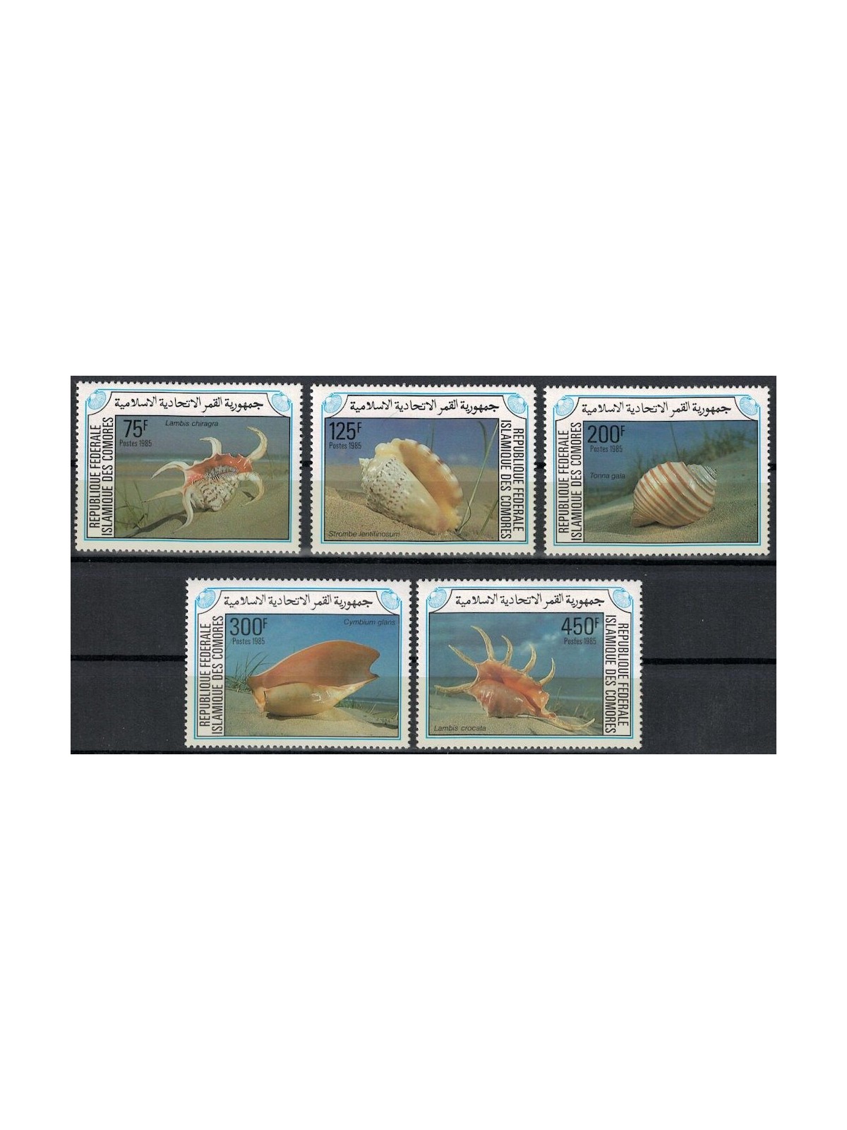 COMORE 1985 Conchiglie 5v MNH**