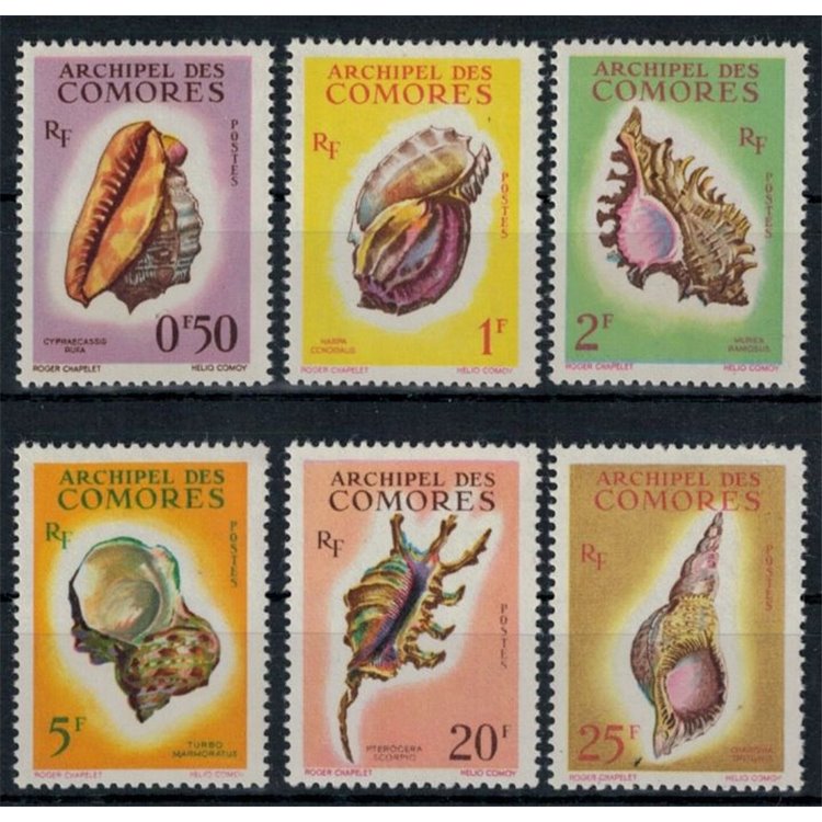 COMOROS 1962 Shells 6v MNH**