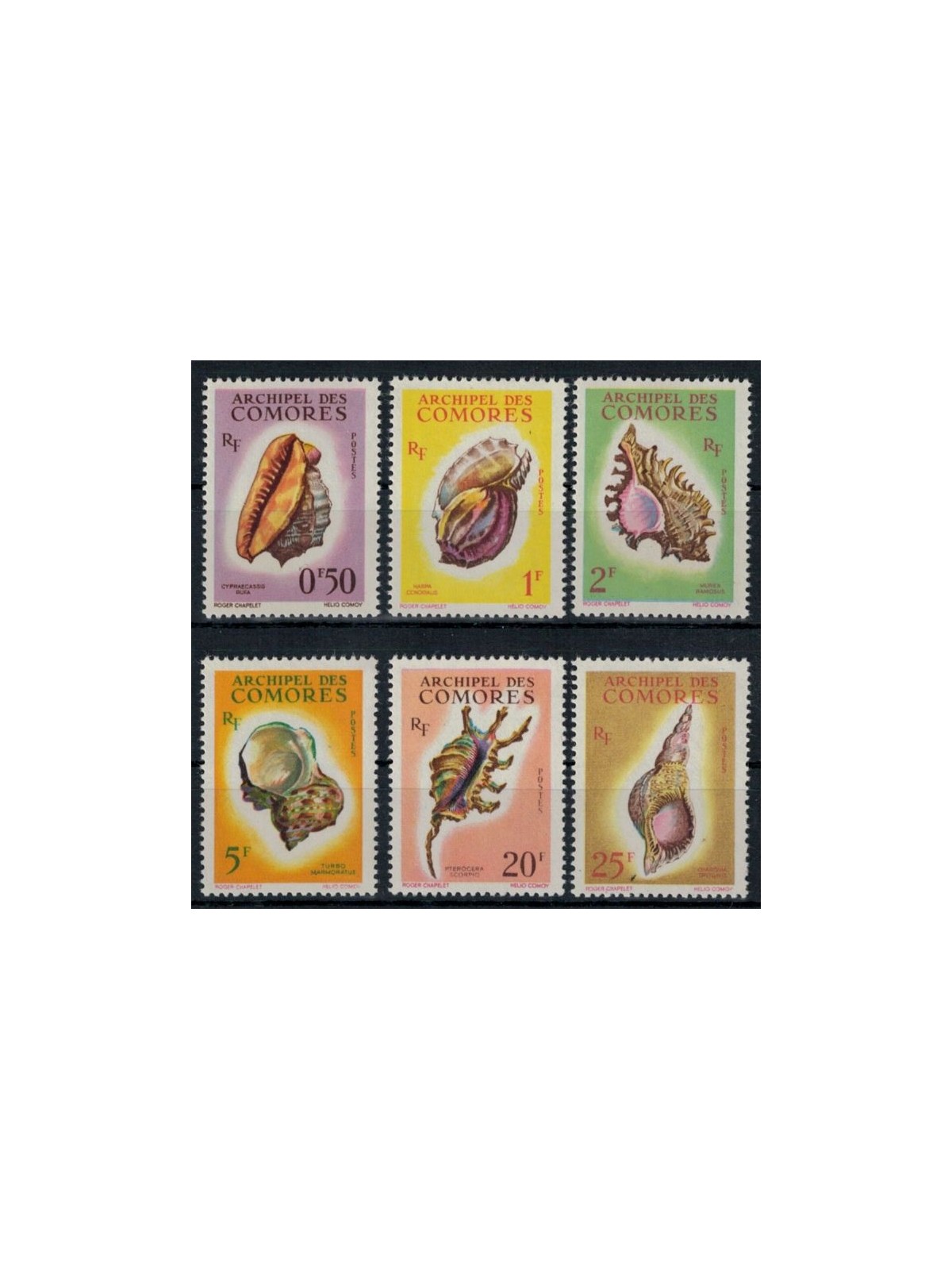 COMOROS 1962 Shells 6v MNH**
