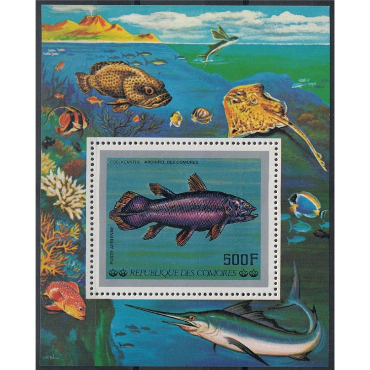 COMOROS 1977 Fish, Airmail s/s MNH**