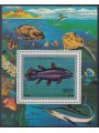 COMOROS 1977 Fish, Airmail s/s MNH**