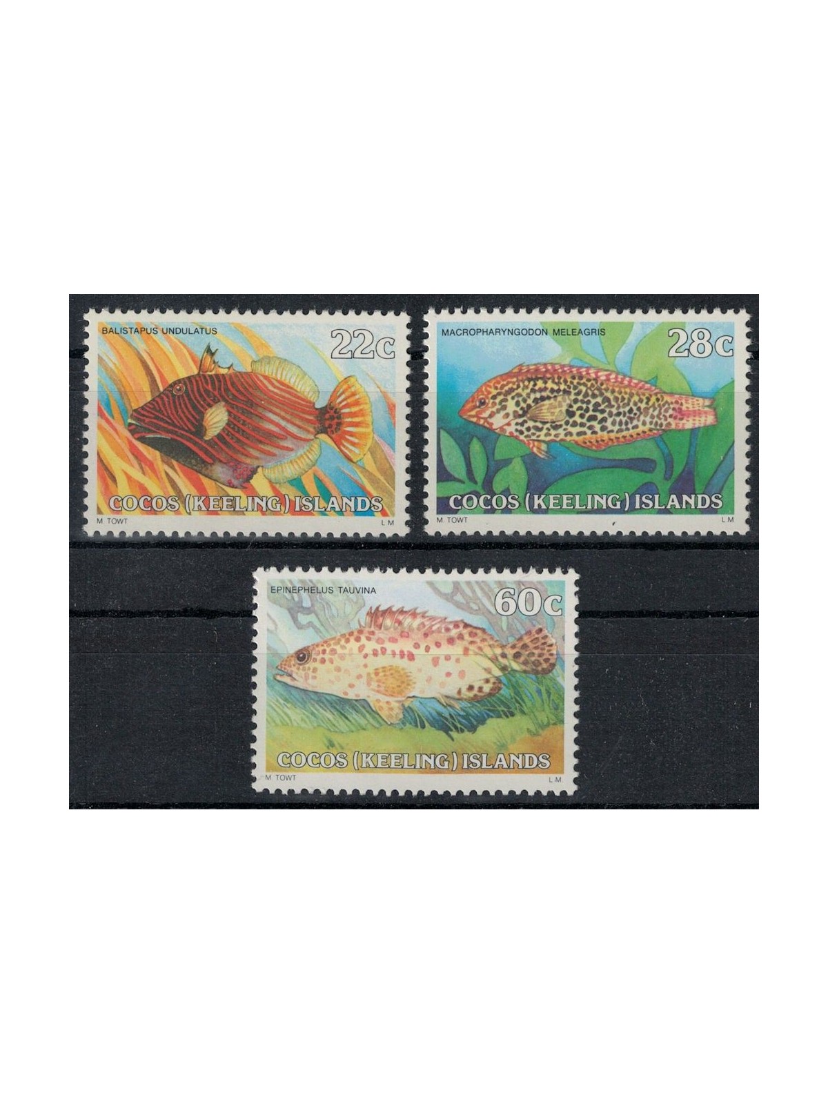COCOS 1980 Ordinary series, fish (III) 3v MNH**