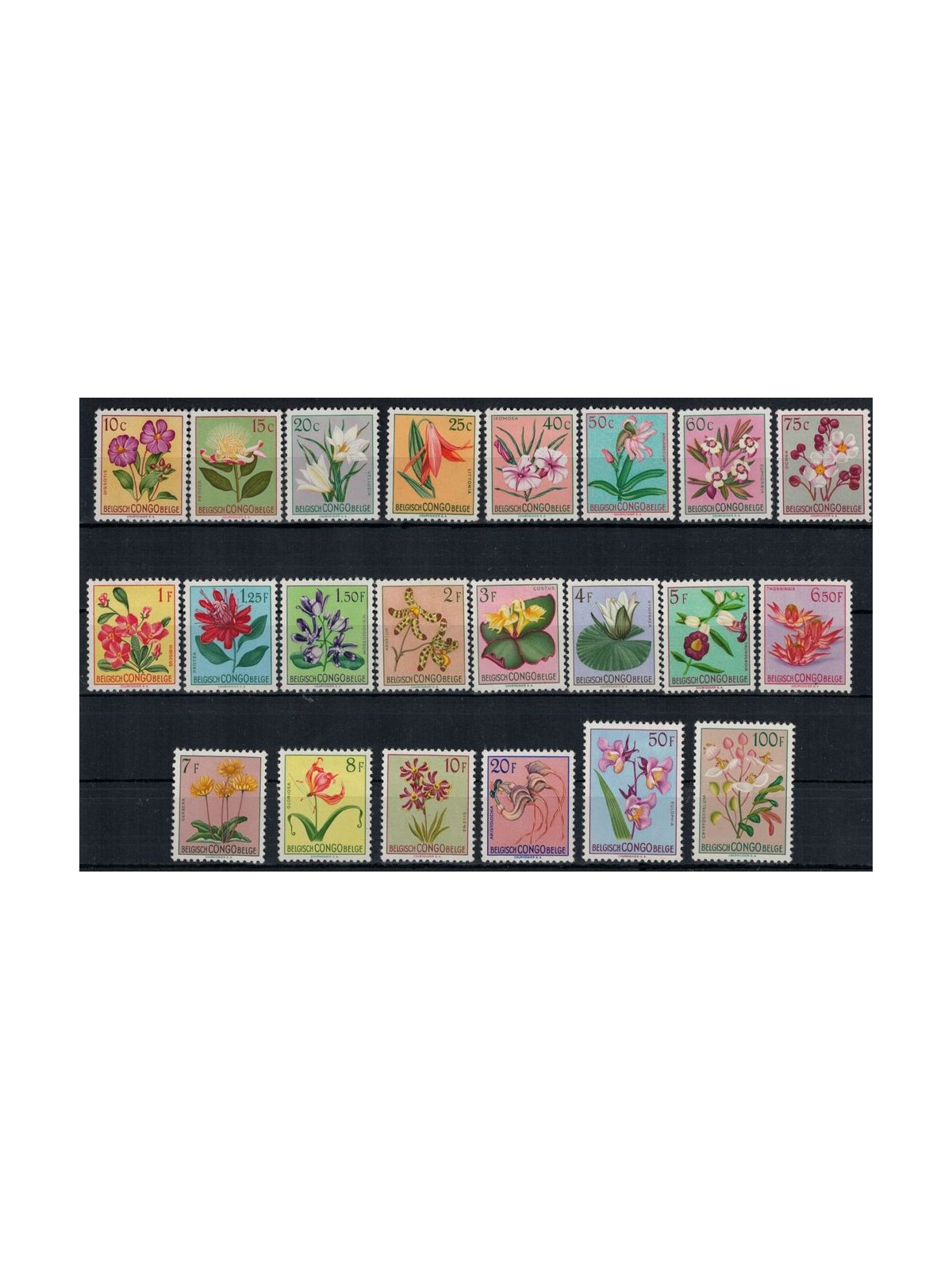 BELGIAN CONGO 1952 Ordinary series, flowers 22v MNH**