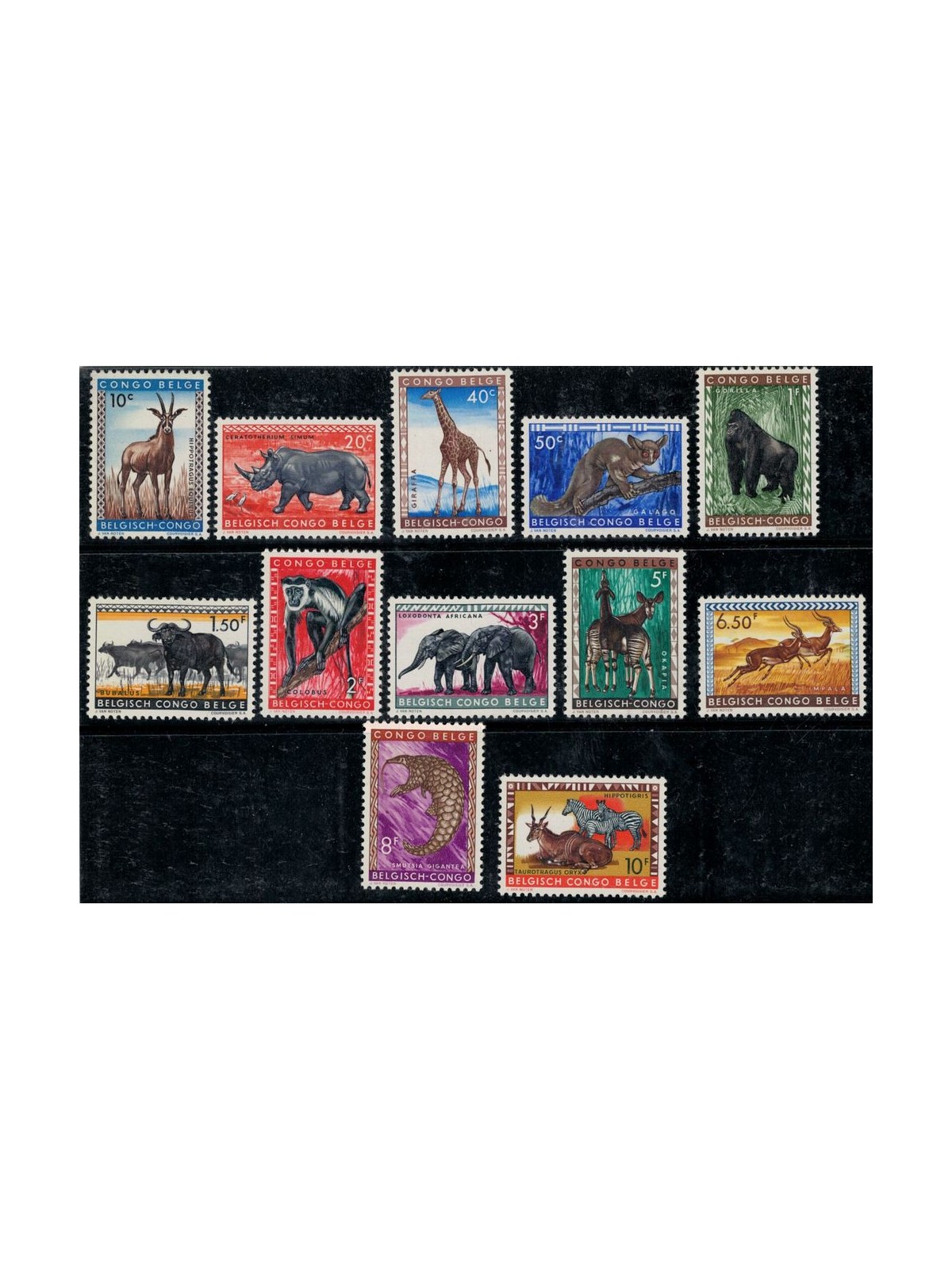 BELGIAN CONGO 1959 Ordinary set, wild animals 12v MNH**