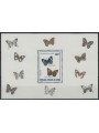 CONGO (BRAZZAVILLE) 1980 Fauna, butterflies s/s MNH**