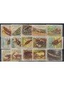 CUBA 1962 Natale 15v MNH**