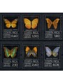 COSTA RICA 1979 Fauna, farfalle 6v MNH**