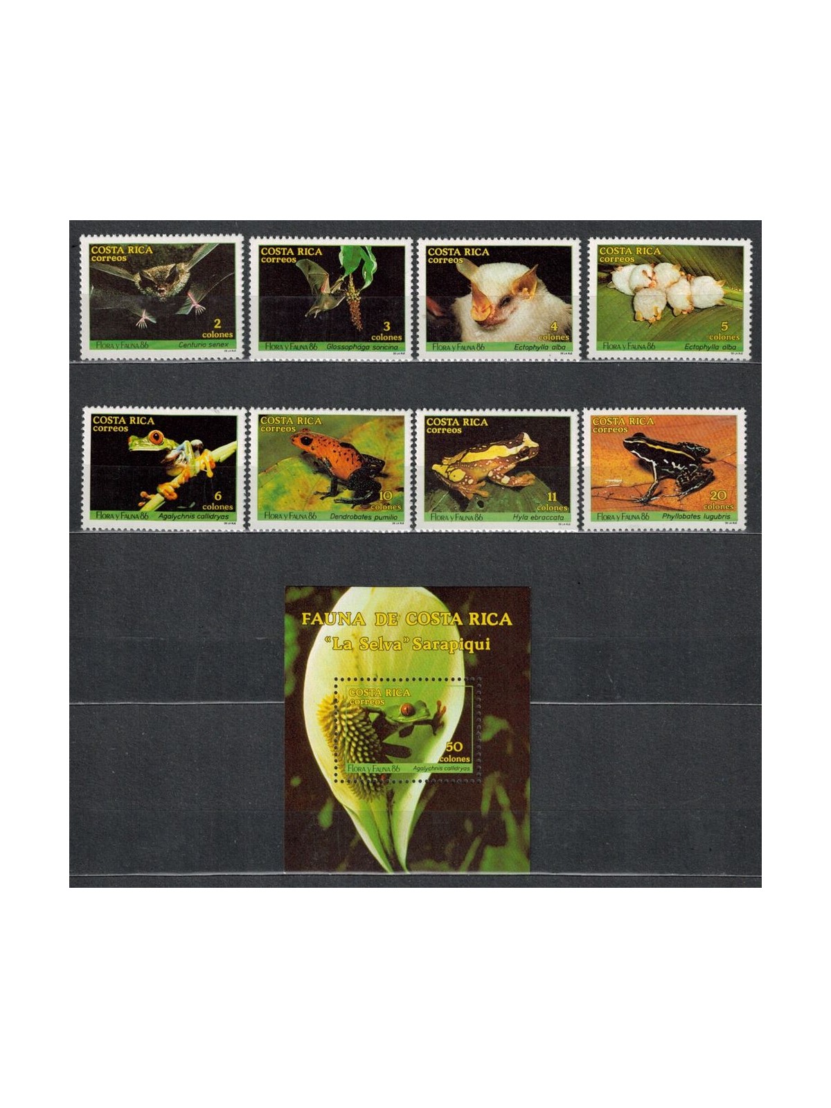 COSTA RICA 1986 Bats and frogs 8v + 1 s/s MNH**