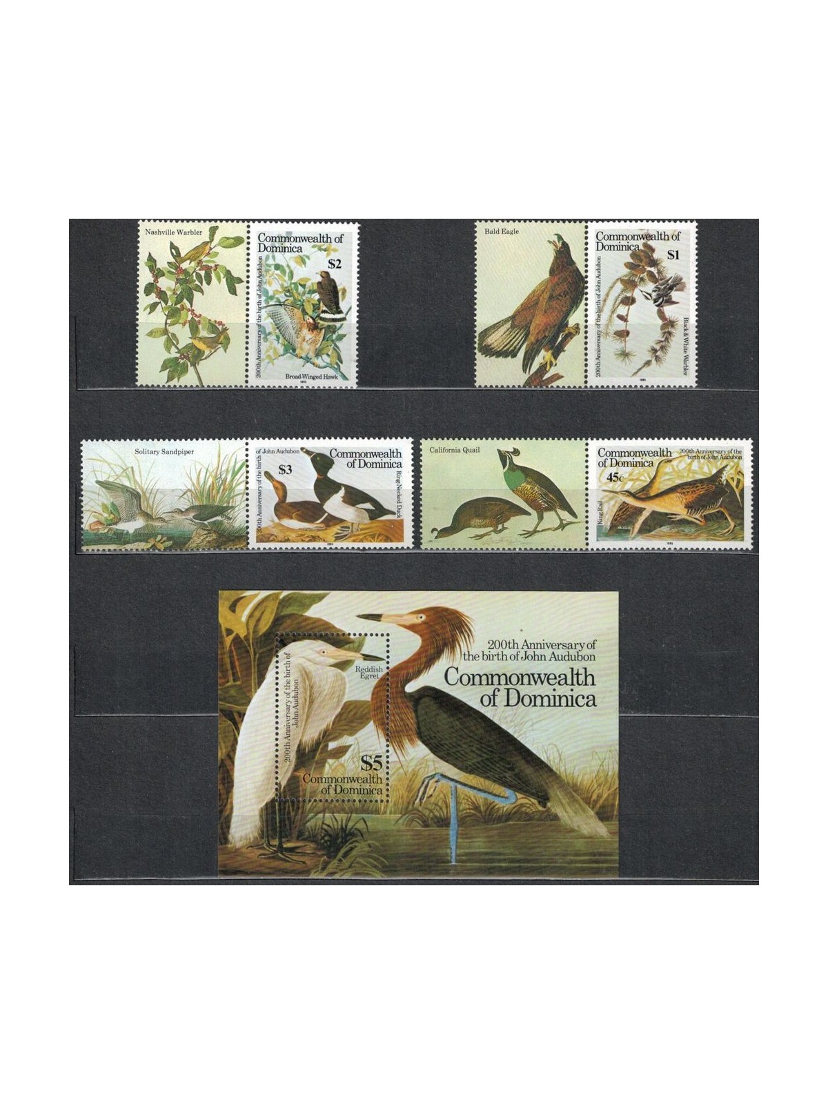 DOMINICA 1985 John James Audubon, uccelli 4v + 1 BF MNH**