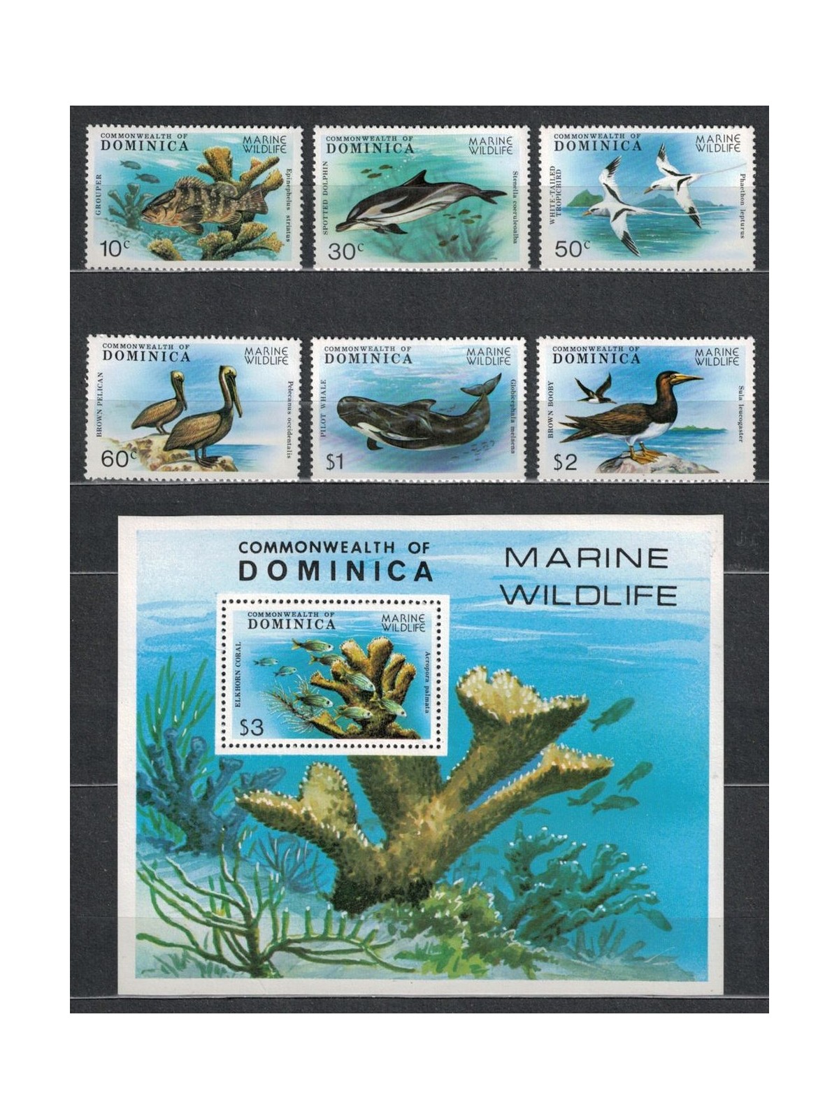 DOMINICA 1979 Fauna dei Caraibi 6v + 1 BF MNH**