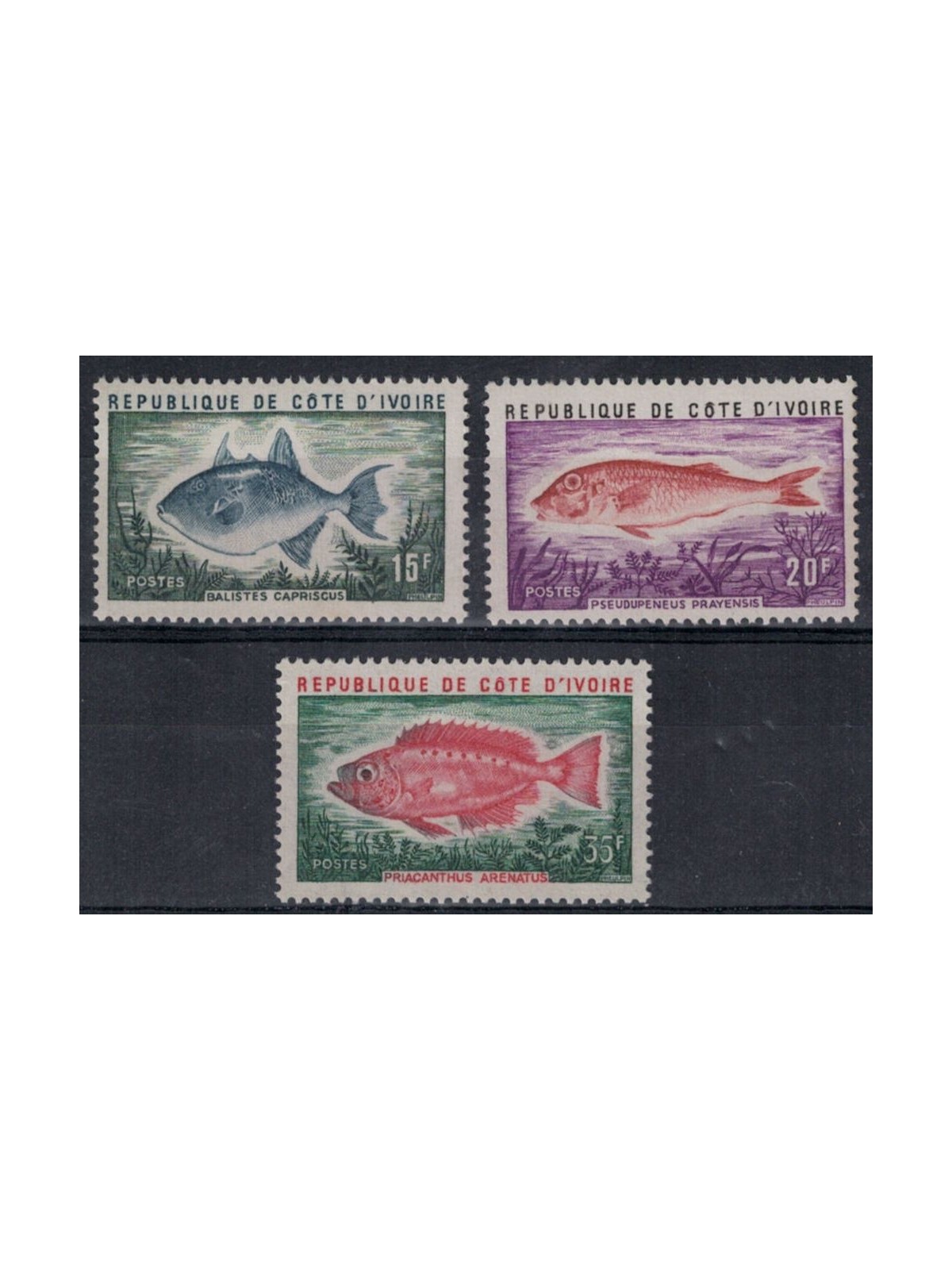 IVORY COAST 1973 Marine fauna, fish 3v MNH**