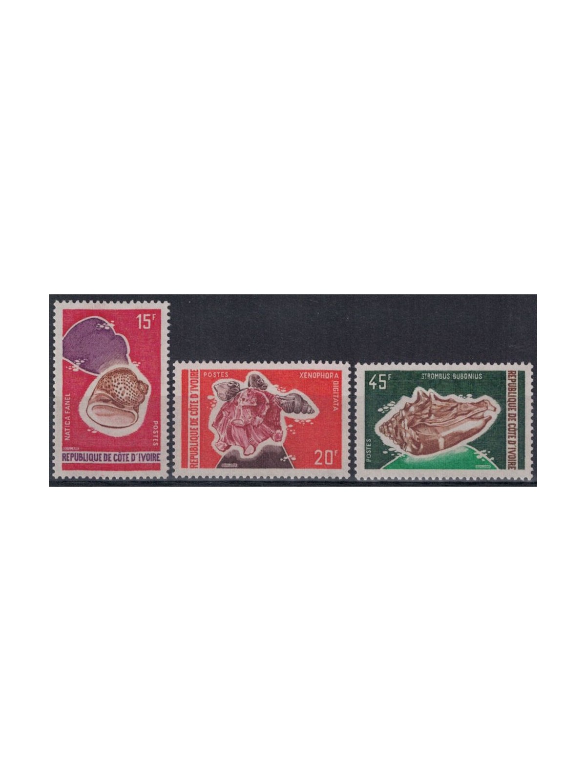 IVORY COAST 1972 Marine fauna, shells 3v MNH**