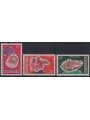 IVORY COAST 1972 Marine fauna, shells 3v MNH**