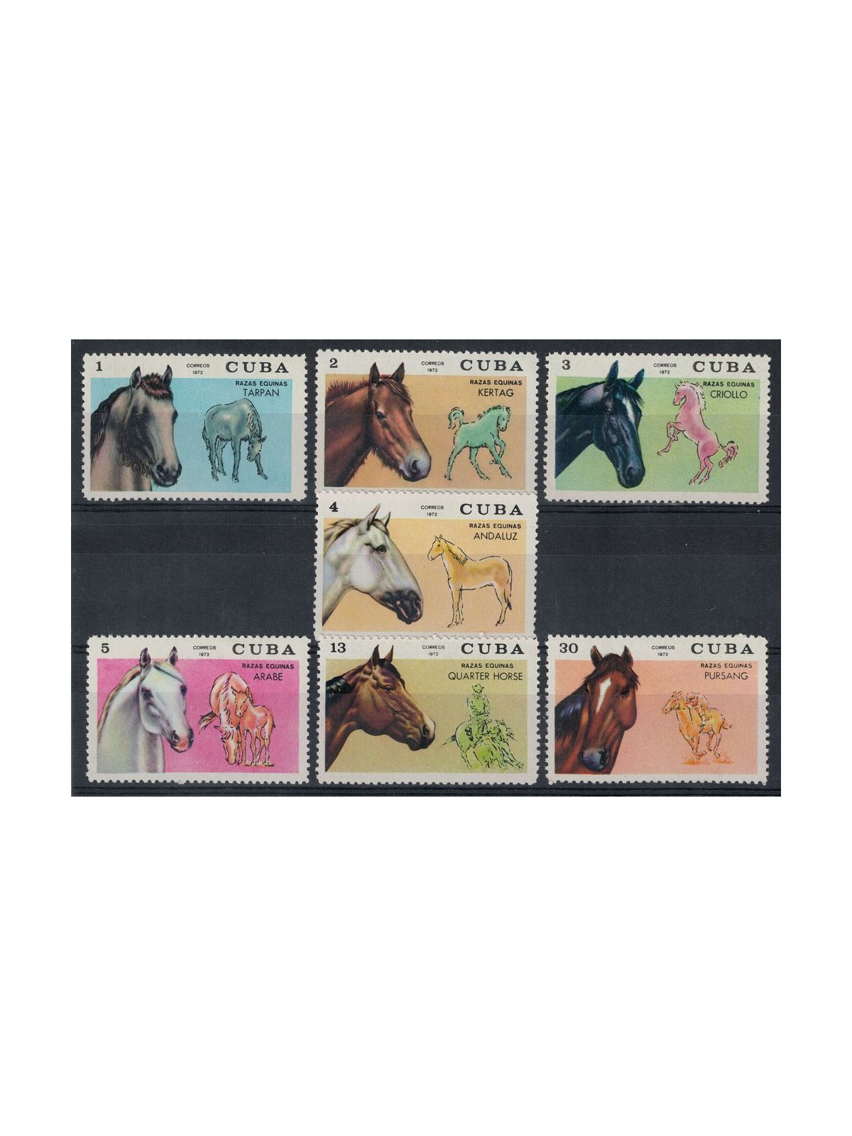 CUBA 1972 Purebred Horses 7v MNH**