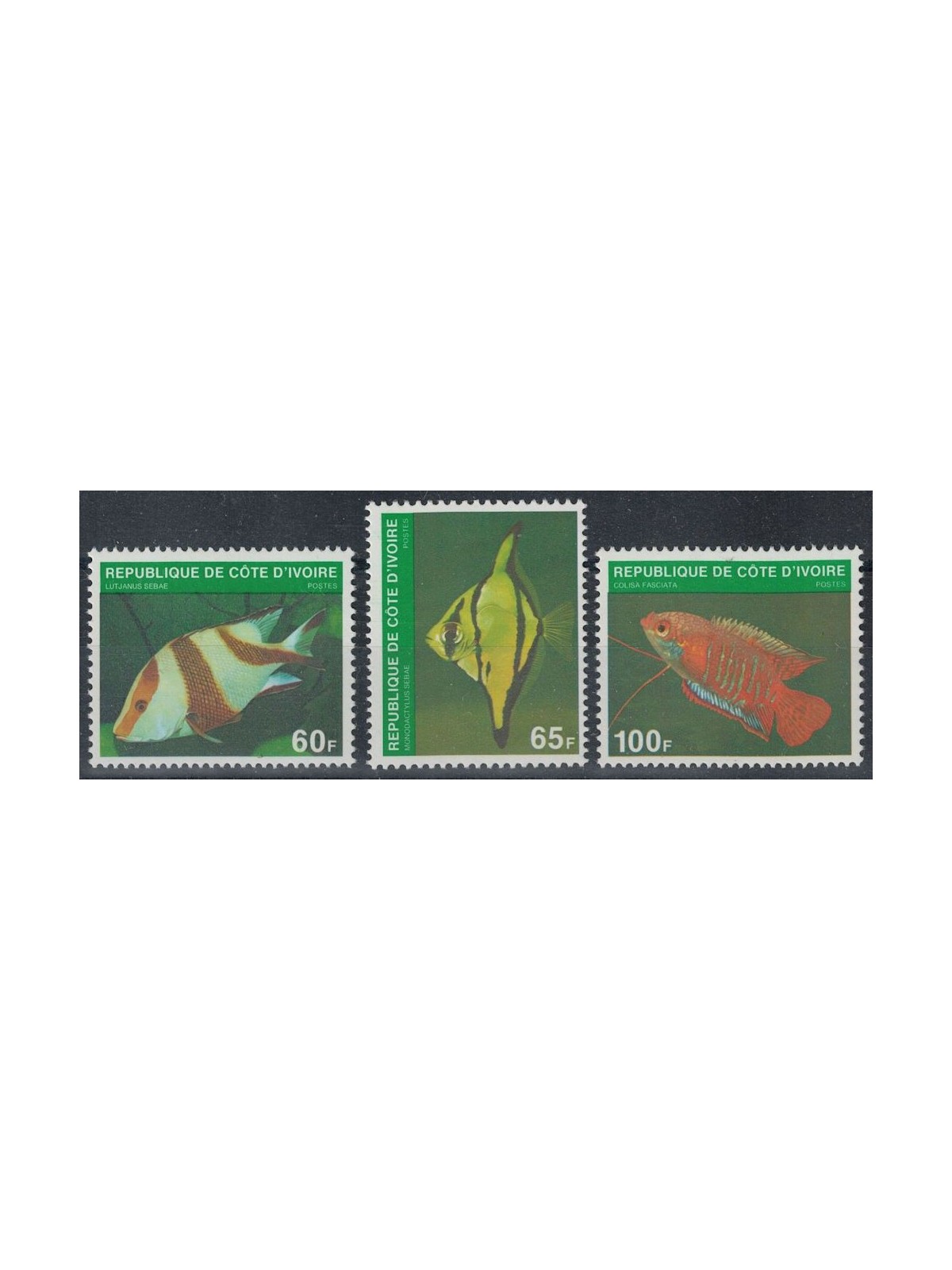 COSTA D'AVORIO 1980 Fauna marina, pesci 3v MNH**